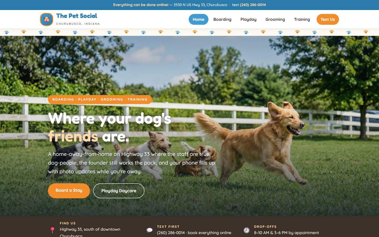 The Pet Social concept website: a bright, friendly rounded homepage with dogs playing on a sunny yard